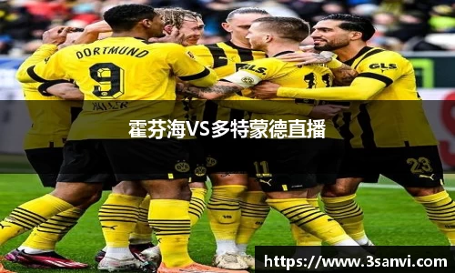 霍芬海VS多特蒙德直播